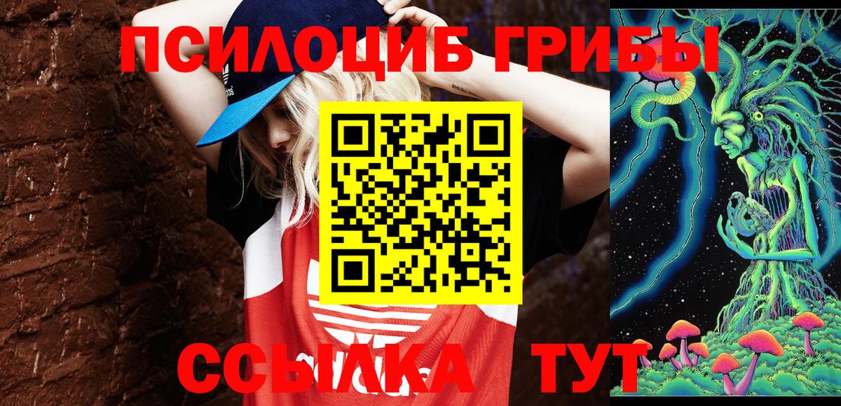 Галлюциногенные грибы мухоморы  Вход с VPN  Железноводск 